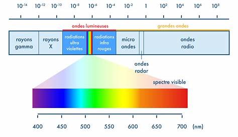 Spectre De La Lumiere Blanche Definition Photosynthèse Une Conversion L'énergie Solaire