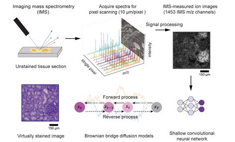 Spectrometry For Imaging