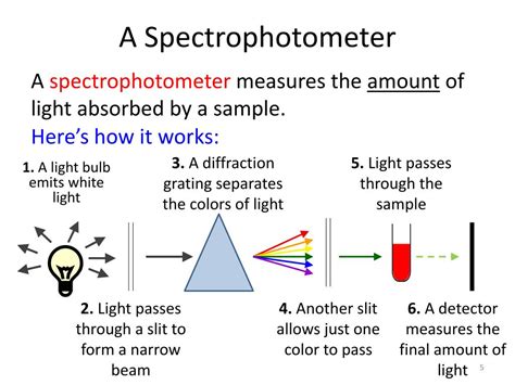 Spectrophotometer Absorbance Formula