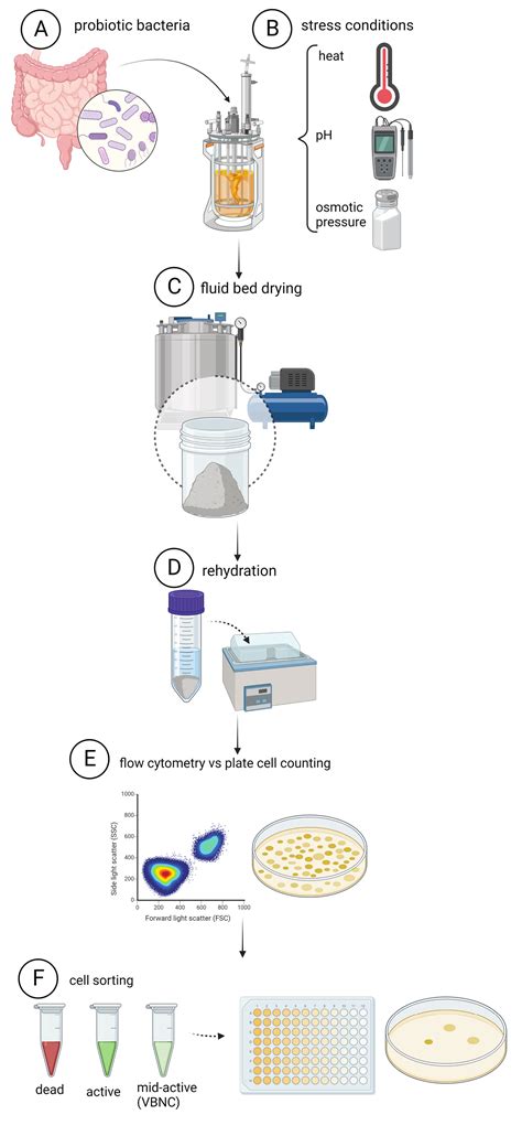 Spectrophotometer Cell Count