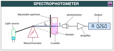 Spectrophotometer Light Source Function