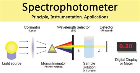 Spectrophotometer Principle Slideshare