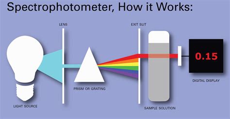 Spectrophotometer Working Procedure