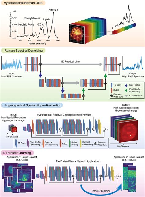 Spectroscopy Data Classification