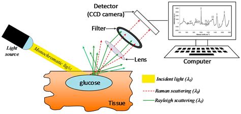 Spectroscopy Glucose Monitoring