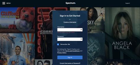 spectrum business login tv