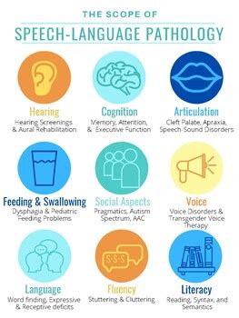 speech and language pathology requirements