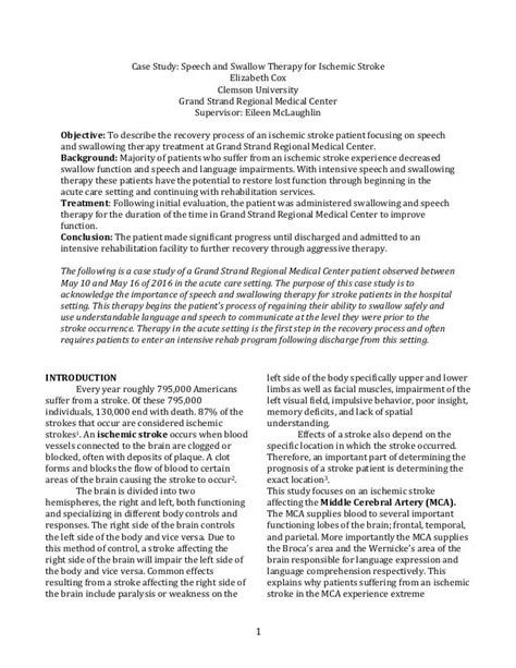 speech language pathology case study examples