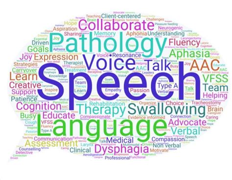 speech language pathology coursework