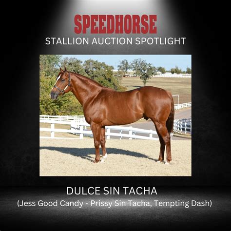 speedhorse stallion service auction