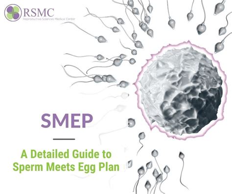 Sperm Meets Egg Method Calendar 2024