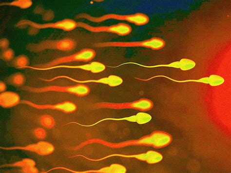 sperm filled sluts 4