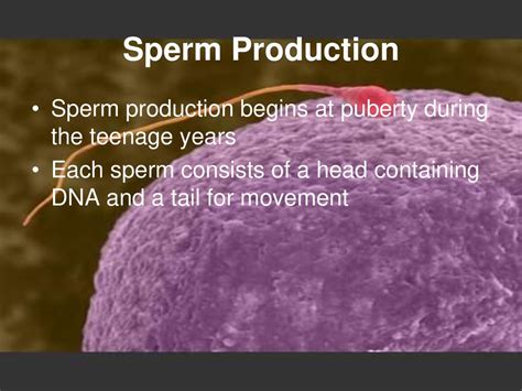 sperm filled teens 3