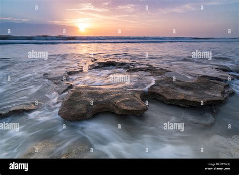 La spettacolare Spiaggia della Coquina: Il paradiso incontaminato della Florida!