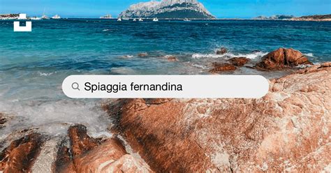 La bellissima spiaggia Fernandina: la meta ideale per le tue vacanze estive.