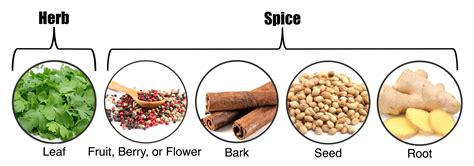 Spice Herb Difference