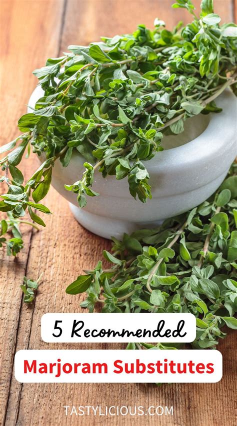 Spice Substitute Marjoram