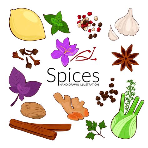 Spices L Tumeric Printable