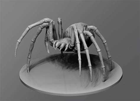 Realistic spider B006850 file stl free download 3D Model for CNC and 3d