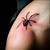 spider tattoo black widow