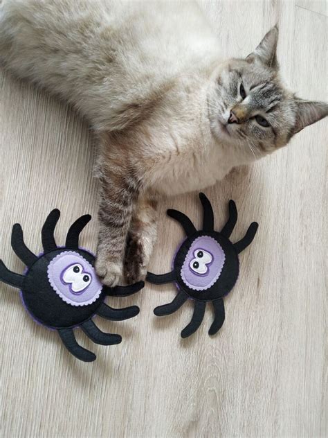 Spider Catnip Cat Toy