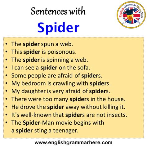 Spider Examples In Sentences