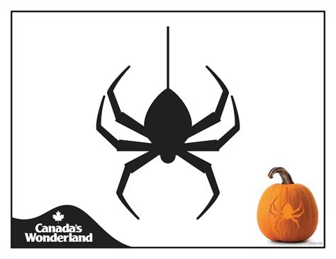 Spider Pumpkin Stencils Printable