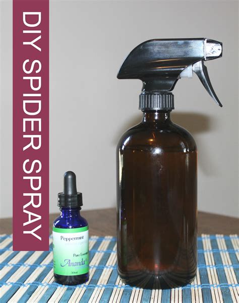 spider repellent essential oil mix