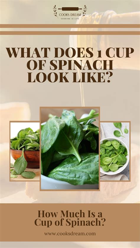 Spinach Iron Count