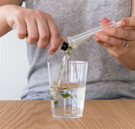 Spinach Leaf Experiment