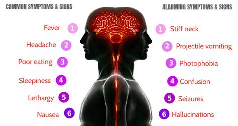 spinal meningitis causes and diagnosis