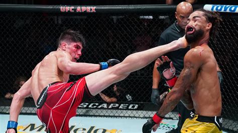 Spinning Kick Punch Knockout