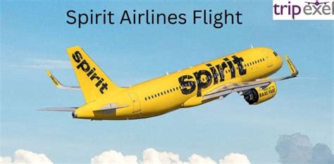 spirit airlines flight status