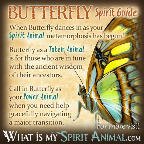 spirit of the butterfly