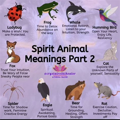 Spirits Free Meaning