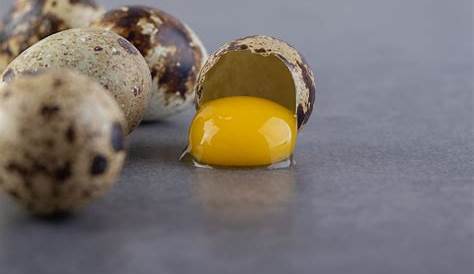 Spiritual Meaning Of Dropping Eggs