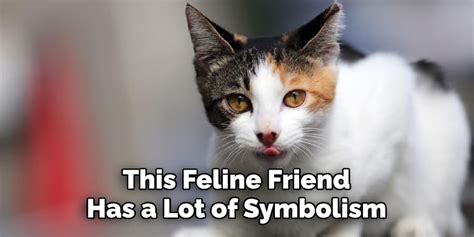 spiritual meaning of a calico cat
