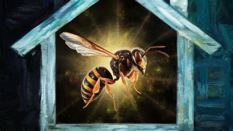 spiritual meaning of a wasp in your house