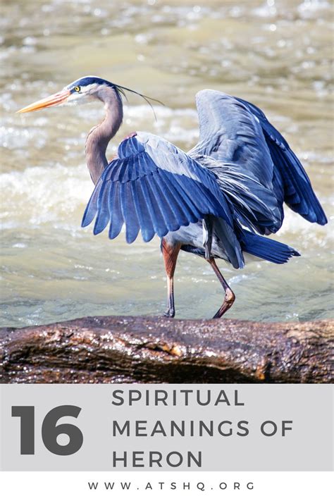 spiritual meaning of blue heron