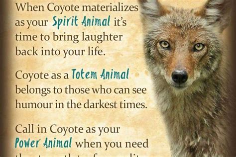 spiritual meaning of coyote howling
