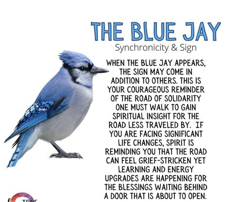 spiritual meaning of seeing a blue jay