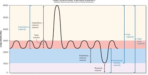 Spirometry Baseline