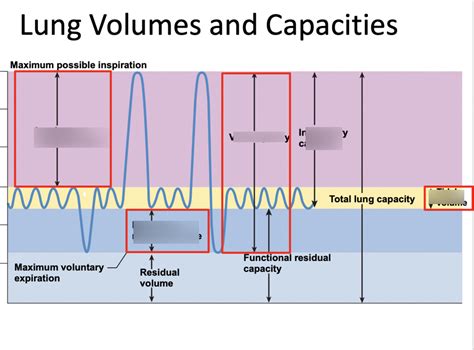 Spirometry Definition Epidemiology
