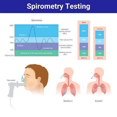 Spirometry Main Function