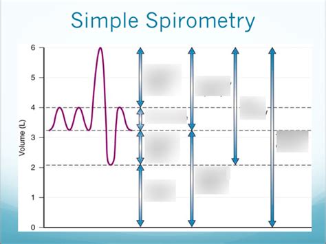 Spirometry Quizlet