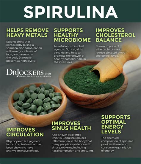Spirulina Free Image