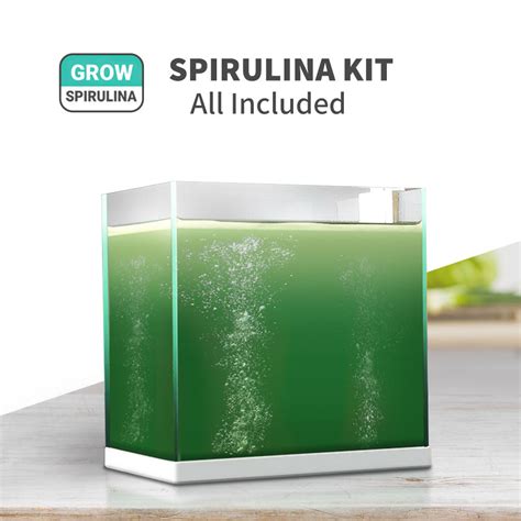 Spirulina Growth Kit