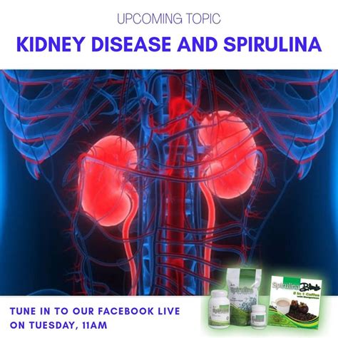 Spirulina Kidney Function