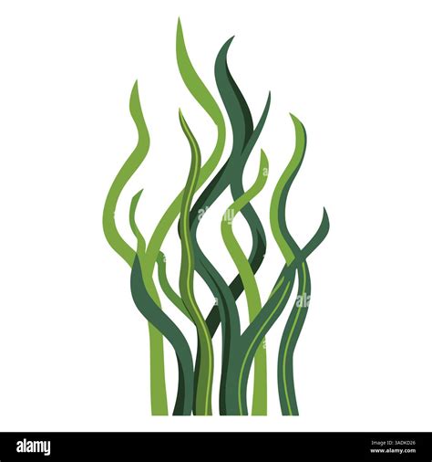 Spirulina Marine Algae