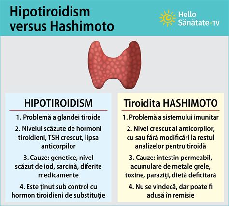 Spirulina Si Tiroida Hashimoto